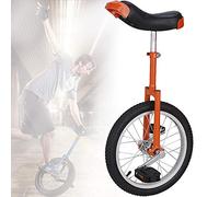 OIFAODAO, Bicicleta de una Sola Rueda con Antideslizante 20 Pulgadas, llanta aleación, neumático Extra Grueso, Asiento Ajustable, for Deportes al Aire Libre, Ejercicio, Salud,Monociclo(Red)