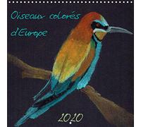 Oiseaux colores d'europe (calendrier mural 2020 300 * 300 mm square) - 12 dessins au pastel d'oiseau (Calvendo Animaux)