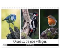 Oiseaux de nos villages en Gâtinais (Calendrier mural 2026 DIN A4 vertical), CALVENDO calendrier mensuel: Photographies d'oiseaux que l'on peut voir en France