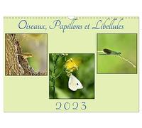 Oiseaux, Papillons et Libellules (Calendrier mural 2026 DIN A3 vertical), CALVENDO calendrier mensuel: Une année en compagnie de petits êtres de la nature