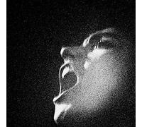 Oiseaux-Tempête - Al-'An !