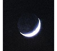 Oiseaux Tempête - Tarab