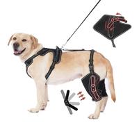 OJLUOJ Rodillera de metal para perro, longitud ajustable, con cuerda de tracción para la pierna delantera y trasera, tamaño M, para perros y mascotas, alivia el dolor en las articulaciones, ayuda a la
