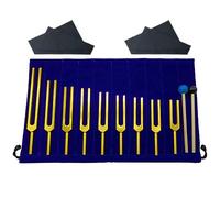 Okeeyseda 9 Diapasones Dorados para Curar Chakras, Terapia de Sonido, Mantener la ArmoníA del Cuerpo, la Mente y el EspíRitu