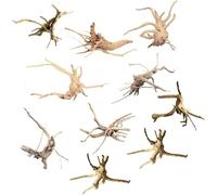Okeeyseda Mini Driftwood para Acuario Ramas de Madera Natural Decoraciones para Peceras de áRbol Driftwood Surtido (Paquete de 10)