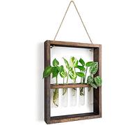Okeeyseda Plantas Colgantes Montadas en la Pared, Tubo de Ensayo, Capullo de, Terrario de Cristal, de Madera para el Hogar, JardíN, DecoracióN de Bodas