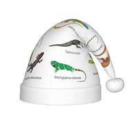 OKFSTY Diferentes tipos de sombrero de Navidad de lagarto para niños, sombrero de Papá Noel multiusos para fiestas y eventos festivos