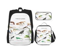 OKFSTY Different Types of Lizard - Mochila de 3 piezas, 16 pulgadas para niños, preescolar, primaria y fiambrera, peso ligero, Black, Talla única, Juego de mochila escolar