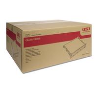 OKI 43449705 correa de transferencia (original)