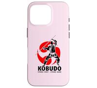 Okinawa Kobudo Japonés Budo Cool Asiático Artes Marciales Fans Carcasa para iPhone 16 Pro