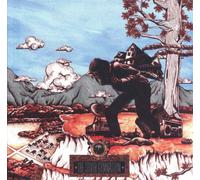 Okkervil River OKKERVIL RIVER - SILVER GYMNASIUM, THE (Vinyl) (Importación USA)