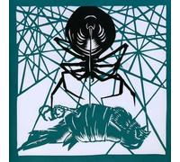 Okkervil River - Wake & Be Fine [Vinilo]