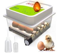 Okköbi OBI-12 Incubadora Automática - Incubadora de huevos para 12 huevos con Volteo Automático - Incubadora huevos gallina, codorniz y pato - Verde