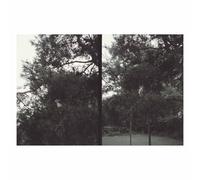 Okkyung Lee - Just Like Any Other Day: Background Music For Your Mundane Activities [Vinilo]