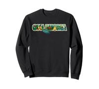 Oklahoma Naturaleza Escénica Retro Nativo Vida Silvestre Occidental Tulsa Sudadera
