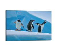 OKNGB Gentoo - Póster decorativo con diseño de pingüino de la Antártida y la naturaleza de la naturaleza y la vida silvestre de la Antártida, póster decorativo para pared e impresión artística moderna