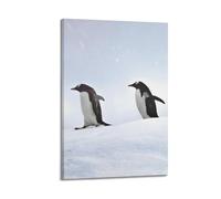 OKNGB Gentoo - Póster decorativo con diseño de pingüino de la Antártida y la naturaleza de la naturaleza y la vida silvestre de la Antártida, póster decorativo para pared e impresión artística moderna