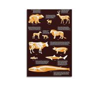 OKNGB Póster de anatomía animal, guía del sistema esquelético, póster decorativo, lienzo de pared, póster de pared e impresión artística moderna para decoración de dormitorio familiar, 40 x 60 cm