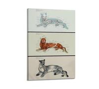 OKNGB Póster de anatomía felina, póster de guía de pumas, pintura decorativa, lienzo, póster de pared e imagen artística moderna para decoración de dormitorio familiar, 30 x 45 cm