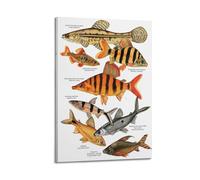 OKNGB Póster decorativo de peces de agua dulce de África, América del Sur, póster decorativo de pared e impresión artística moderna para dormitorio familiar, pósteres de 30 x 45 cm