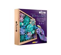 OKTO Oktoclay Tendernes 10010 - Set de Pintura de Espuma de Espuma, Multicolor, Talla única