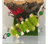 Okueejur Puente de Cuerda de araña, un Puente Colgante de Madera Maciza, Accesorio de recinto de araña Saltando, Plataforma de Salto Hecha a Mano, Accesorio Decorativo para pequeños recintos de