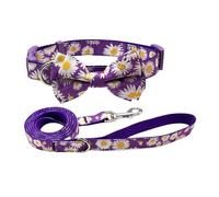 Olahibi Juego combinado de collar y correa para perro, patrón de margaritas moradas, correa de nailon más cinta de algodón, correa de 150 cm, para perros grandes (L, margarita morada)