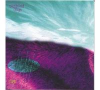 Old Blind Dogs - Five