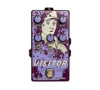 Old Blood Noise Endeavors Pedal Visitor Parallel Multi-modulador