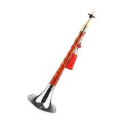 Old Caoba Suona Principiante D Clave Suona Instrumento Musical Nacional Profesional Folk Suona Instrumento Chino Suona (Color : 02)
