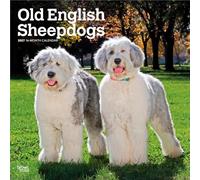 Old English Sheepdog - Bobtail - Altenglischer Schäferhund 2027 - 16-Monatskalender: Original BrownTrout-Kalender [Mehrsprachig] [Kalender] (Old ... | BrownTrout | Animals Dog Breeds)