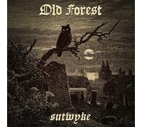 Old forest - Sutwyke