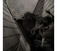Old Tower Draconic Synthesis (Vinyl) 12" Album
