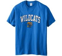 Old Varsity Brand NCAA - Camiseta Oficial de Gildan, Hombre, 2000-E20077, Azul Real, Medium