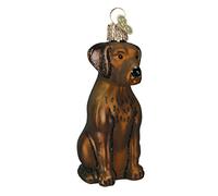 Old World Christmas Perros Colección Vidrio Soplado Adornos para Árbol de Navidad,Chocolate Labrador