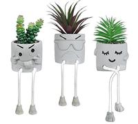 OL onita decoración de Escritorio, Plantas Falsas, decoración de Oficina, Plantas pequeñas para decoración de cubículo de Oficina, Decoraciones de Escritorio para Mujeres, suculentas Falsas para