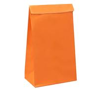 Oletx Paquete de 30 bolsas de papel naranjas para recuerdos de fiesta, bolsas envueltas de 9 pulgadas, bolsas de golosinas, bolsas de caramelos, bolsas de almuerzo de papel para fiestas de cumpleaños