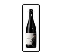Olga Verde Toxo Villa de Otero 2022