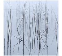 Olhava - Frozen Bloom (2lp) [Vinilo]