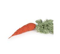 Oli & Carol - Manualidad para niños, Do It Yourself, DIY Cathy The Carrot, 25 cm