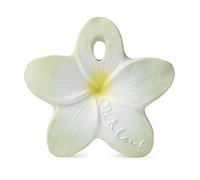 Oli & Carol - Mini Mordedor Bebé de Caucho Natural Flor Menta - Regalo para bebé 0 3 6 meses, 1 año - Bali the Flower