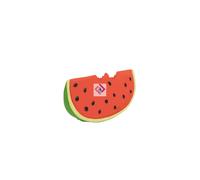 OLI & CAROL Oli & Carol Mordedor Wally The Watermelon