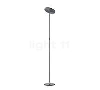 Oligo Decent Max, lámpara de pie LED, cabezal gris mate/pie gris mate