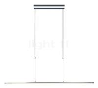 Oligo Lisgo Sky Straight, lámpara de suspensión LED, cromo - 187,5 cm