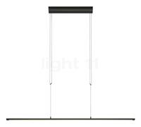 Oligo Lisgo Sky Straight, lámpara de suspensión LED, negro mate - 187,5 cm