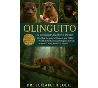 OLINGUITO: “The Enchanting Cloud Forest Dweller: Unveiling the Secrets, Behavior, and Hidden World of the Mysterious Olinguito in South America’s Misty Andean Canopies.”