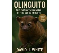Olinguito: The Enigmatic Mammal of the Cloud Forests