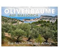 Olivenbäume auf Mallorca - Die Schönheit des Alters (Wandkalender 2026 DIN A3 quer), CALVENDO Monatskalender: Faszination mallorquinischer Olivenbäume