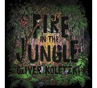 Koletzki, Oliver - Fire in the Jungle