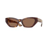 Oliver Peoples Mujer Oliver Peoples OV5582SU 1961C 100773 Gafas de sol Acetato Tortuga Marrón Cat Eye Normal